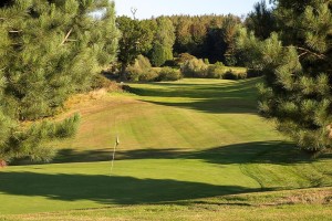 golf-gallery-08.jpg