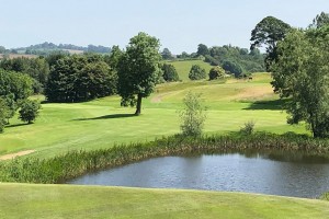 golf-gallery-12.jpg